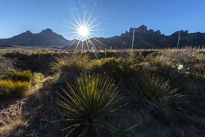 A Chisos Mountains Morning, Big Bend National Park / Rebecca Latson A Chisos Mountains Morning, Big Bend National Park / Rebecca Latson