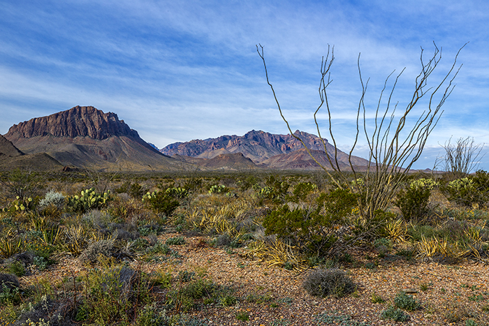 Mountain and desert landscape, Big Bend National Park / Rebecca Latson Mountain and desert landscape, Big Bend National Park / Rebecca Latson