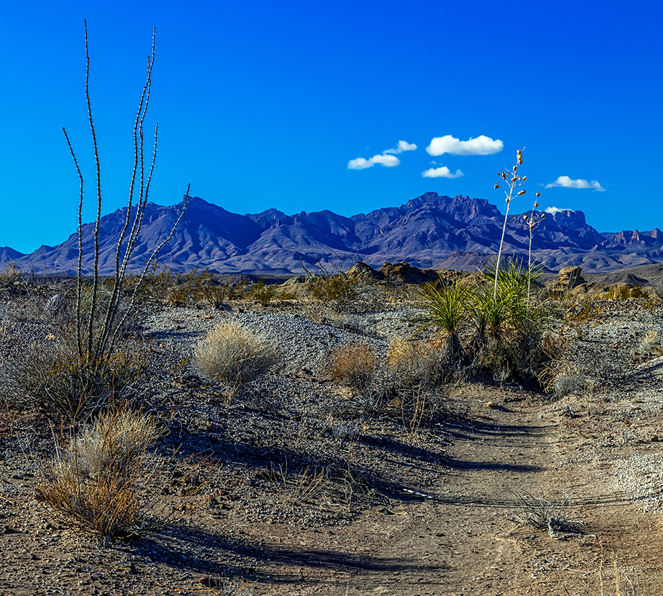 A stark and snowless winter in Big Bend National Park / Rebecca Latson A stark and snowless winter in Big Bend National Park / Rebecca Latson