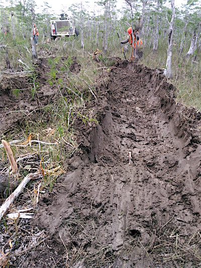 Oil survey work in Big Cypress National Preserve gouged ruts into landscape/NPS Oil survey work in Big Cypress National Preserve gouged ruts into landscape/NPS