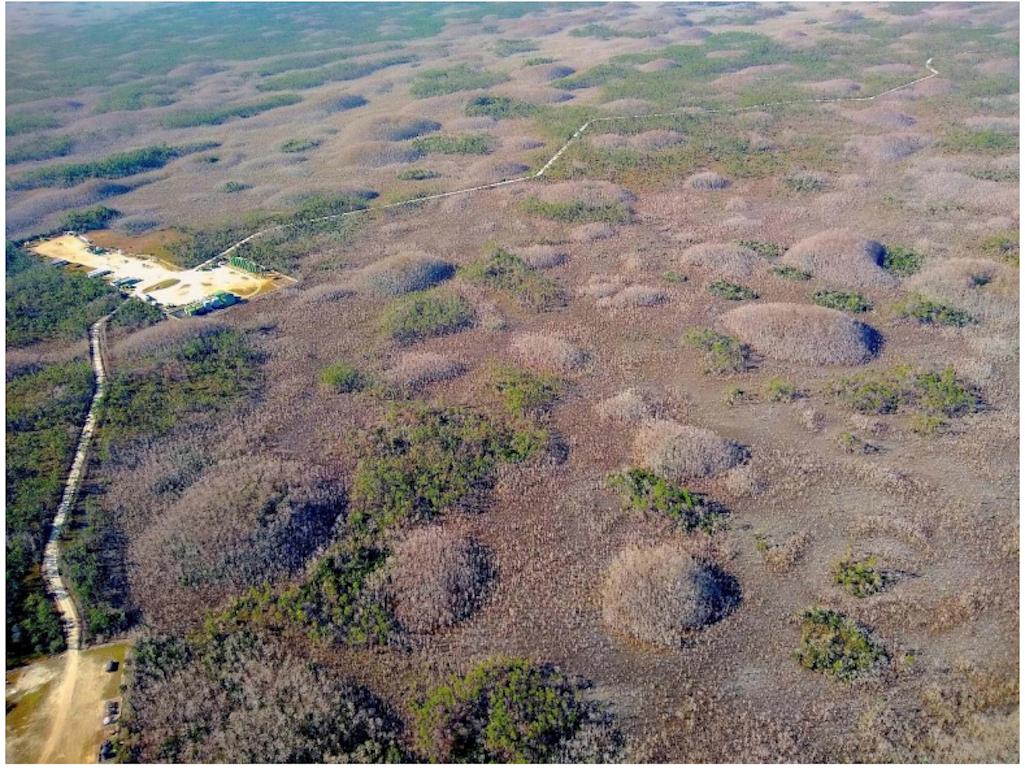 Groups opposed to drilling for oil in Big Cypress pointed to the impacts past drilling operations and their roads have done.