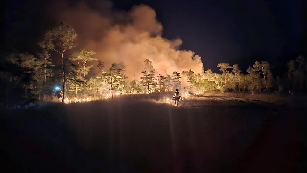 Burn out operations on the Sandy wildfire on Wednesday/NPS Burn out operations on the Sandy wildfire on Wednesday/NPS