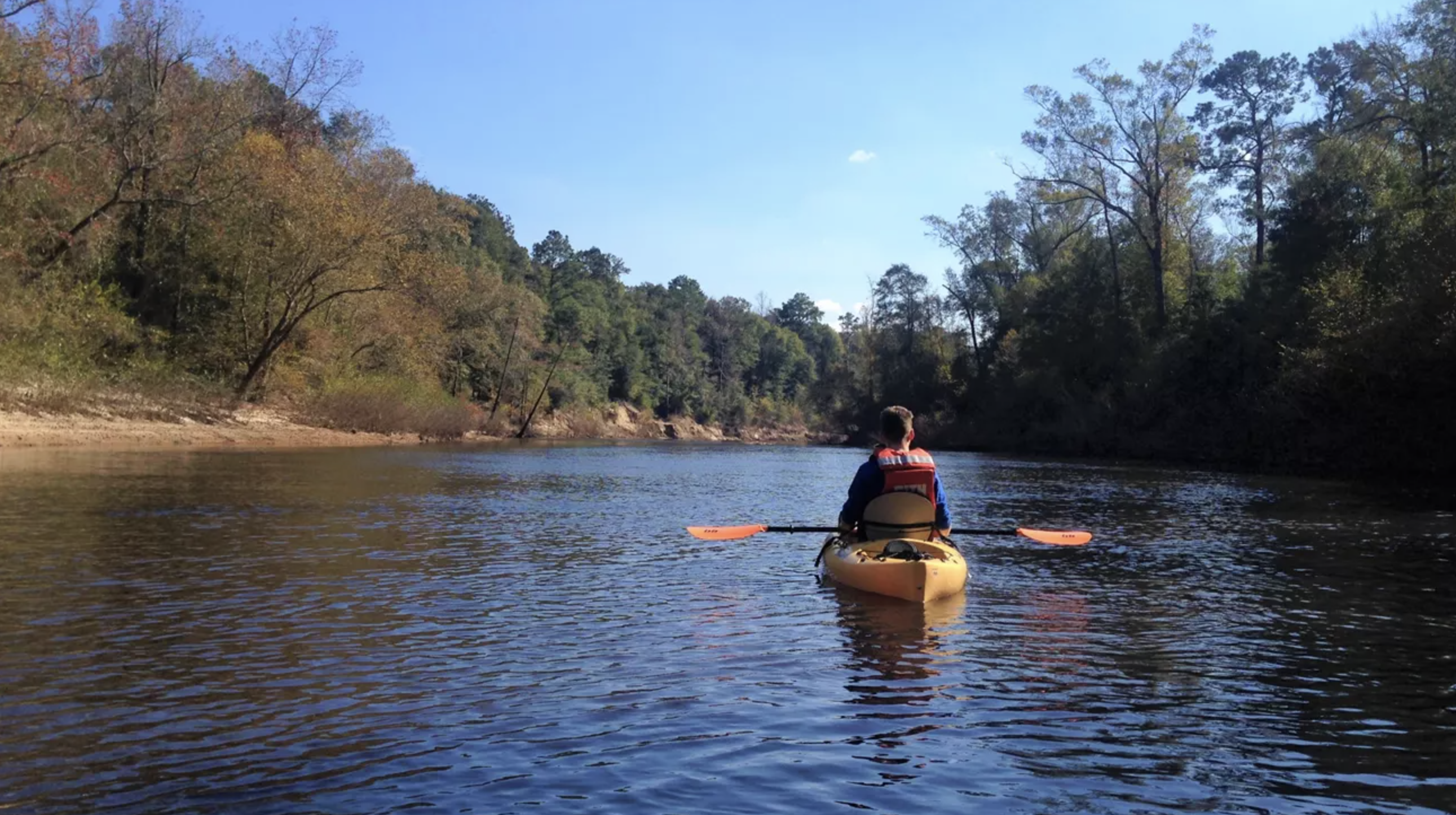 Kayaking in Big Thicket Preserve A kayaker sits peacefully on a body of water surrounded by trees.