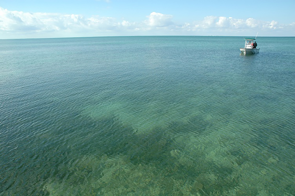 Biscayne Bay water near Elliott Key, Biscayne National Park / NPS-Matt Johnson