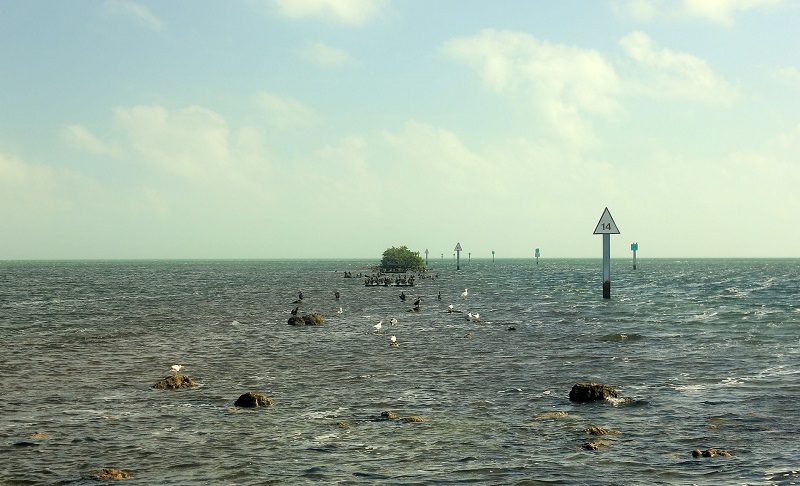 biscayne, national park, miami, florida, biscayne national park, birding, horizon