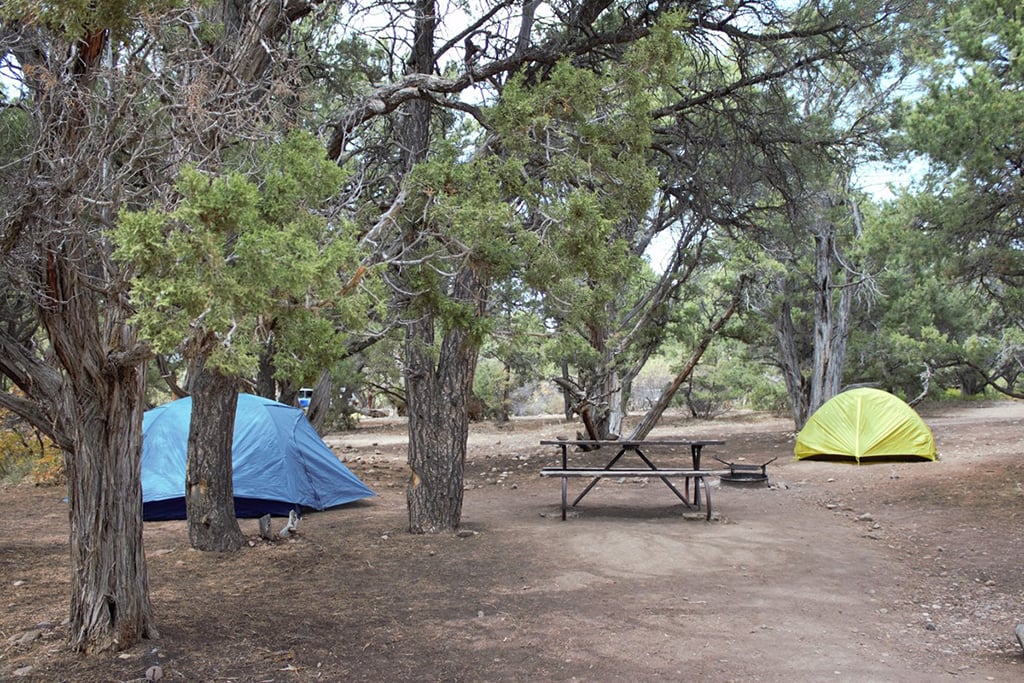 A site at the North Rim Campground in Black Canyon of the Gunnison National Park / NPS file