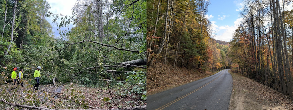 Left to right – Along the Asheville corridor on the Blue Ridge Parkway, before clean-up (left) and after clean-up (right). Left to right – Along the Asheville corridor on the Blue Ridge Parkway, before clean-up (left) and after clean-up (right).