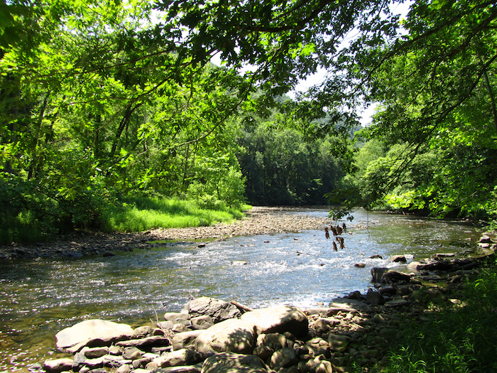 Bluestone National Scenic River/NPS