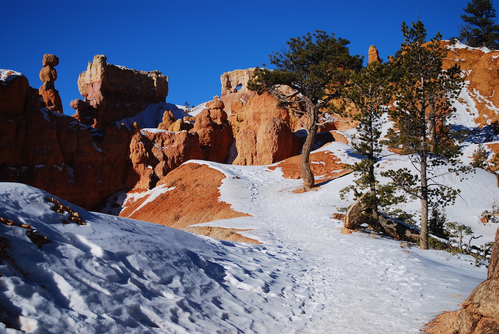 Bryce Canyon's trails lead you through an army of hoodoos bright against the snow/Kurt Repanshek file Bryce Canyon's trails lead you through an army of hoodoos bright against the snow/Kurt Repanshek file