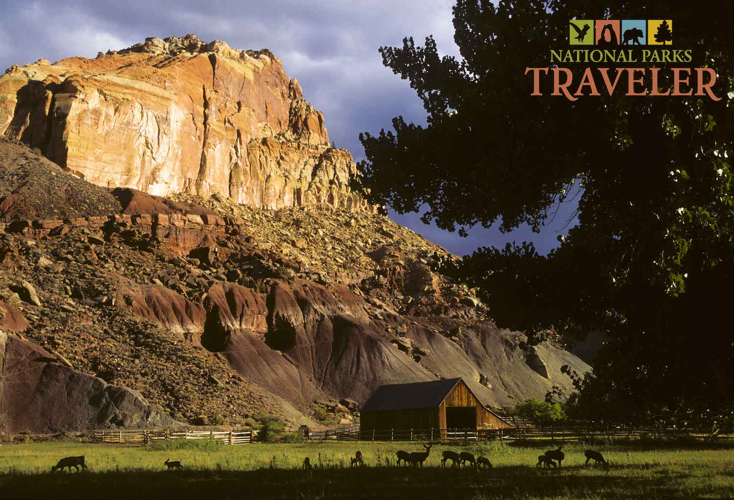 National Parks Traveler Needs Your Help/Patrick Cone
