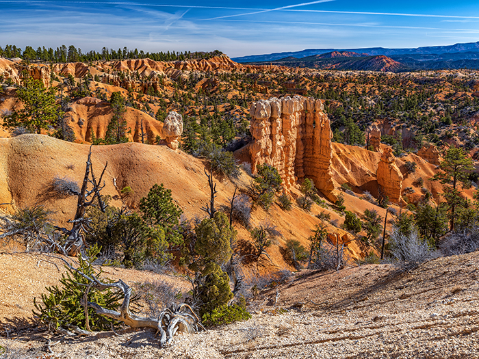 More Fairyland Canyon scenery, Bryce Canyon National Park / Rebecca Latson