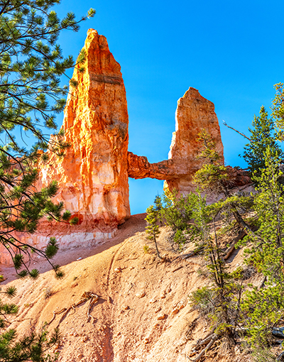 Tower Bridge, Bryce Canyon National Park / Rebecca Latson