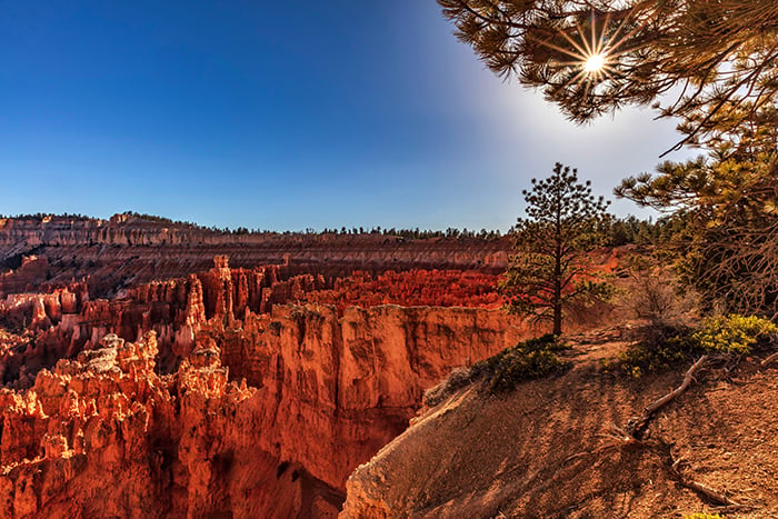 Late afternoon colors and a sunburst at Sunset Point, Bryce Canyon National Park / Rebecca Latson Late afternoon colors and a sunburst at Sunset Point, Bryce Canyon National Park / Rebecca Latson