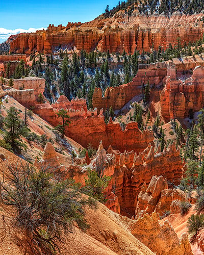Fairyland Canyon fins, hoodoos and spires, Bryce Canyon National Park / Rebecca Latson