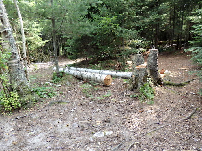 Trees cut down for firewood in the Boundary Waters Canoe Area Wilderness in northern Minnesota/USGS, Jeffrey Marion Trees cut down for firewood in the Boundary Waters Canoe Area Wilderness in northern Minnesota/USGS, Jeffrey Marion