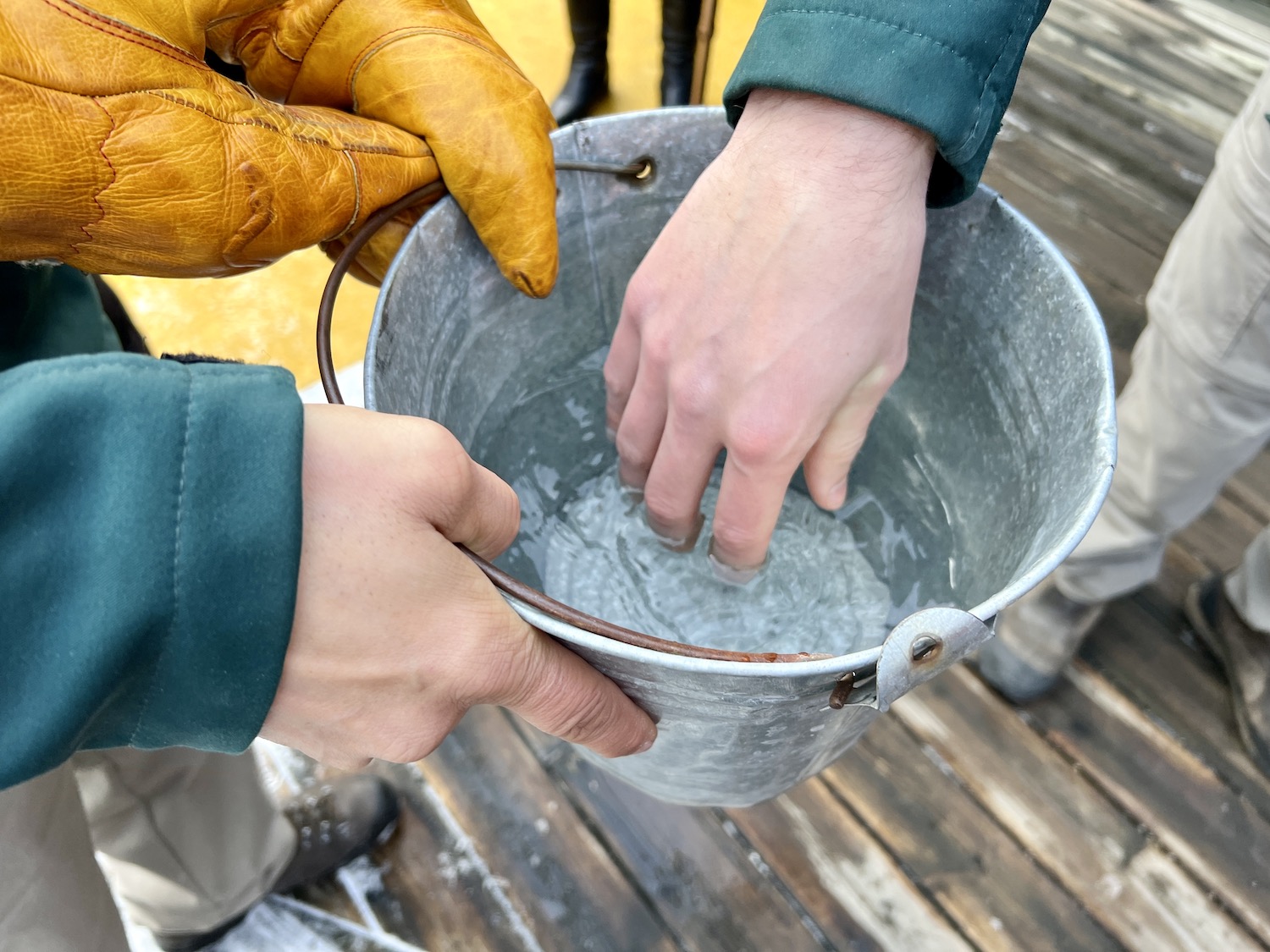 At the end of a public tour, Parks Canada will scoop out some thermal water for people to dip their hands in without endangering rare aquatic snails. The water is then discarded. At the end of a public tour, Parks Canada will scoop out some thermal water for people to dip their hands in without endangering rare aquatic snails. The water is then discarded.