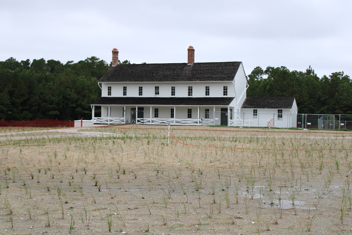 Revegetation of the lighthouse grounds/Declan Revegetation of the lighthouse grounds/Declan