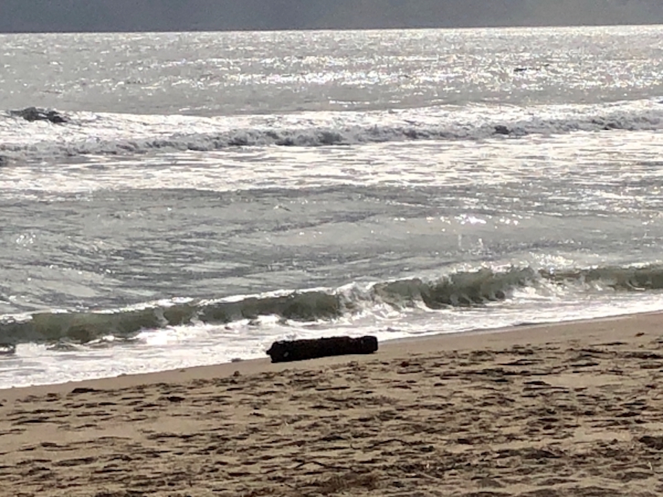 A World War II-era aerial bomb found at Cape Hatteras National Seashore will be detonated Friday/NPS