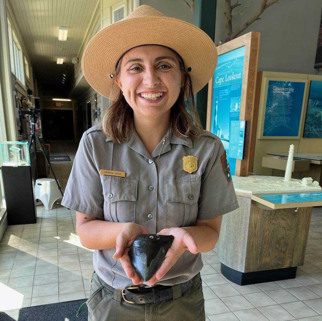 This massive fossilized shark tooth was found at Cape Lookout National Seashore on July 23/NPS This massive fossilized shark tooth was found at Cape Lookout National Seashore on July 23/NPS