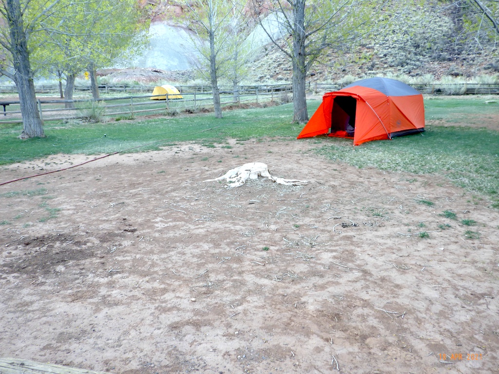 Some national park campsites just don't get the time they need to recover from heavy use/Kurt Repanshek file