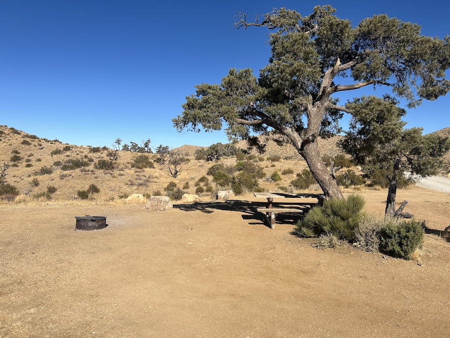 Fees for campsites like this one at Mojave National Preserve to go up in the new year / NPS Fees for campsites like this one at Mojave National Preserve to go up in the new year / NPS