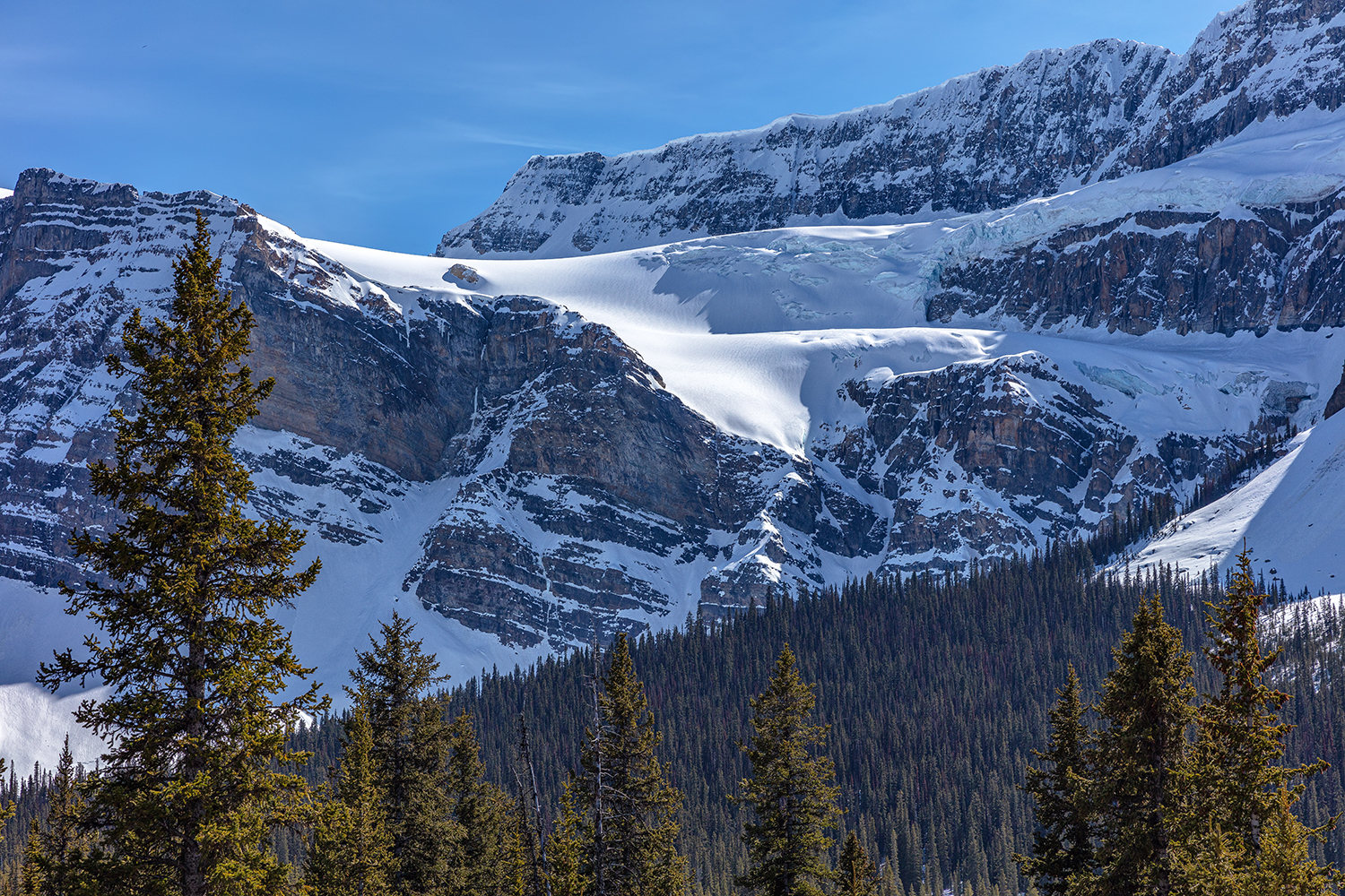 Crowfoot Glacier on a sunny spring day, Banff National Park / Rebecca Latson