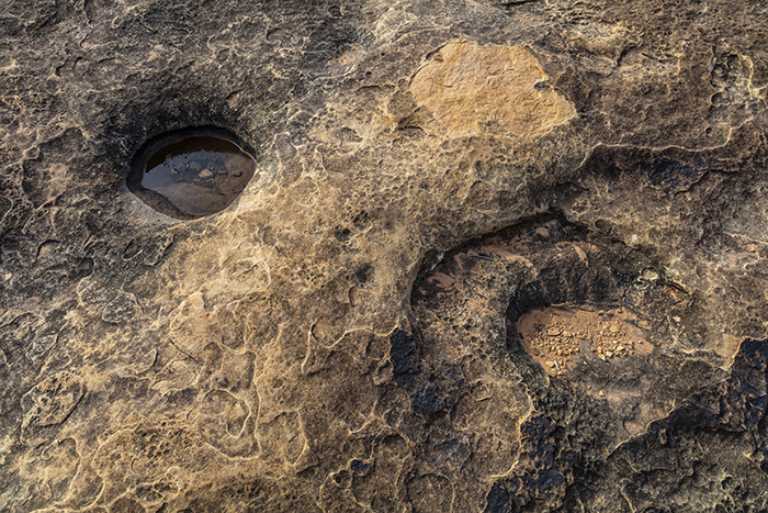 A water-filled pothole at Pothole Point, Canyonlands National Park / Rebecca Latson