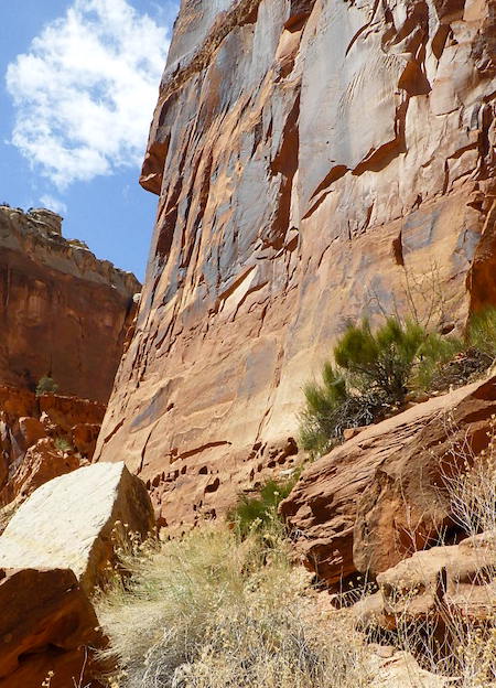 The landscape in the wash swallows you/Kurt Repanshek
