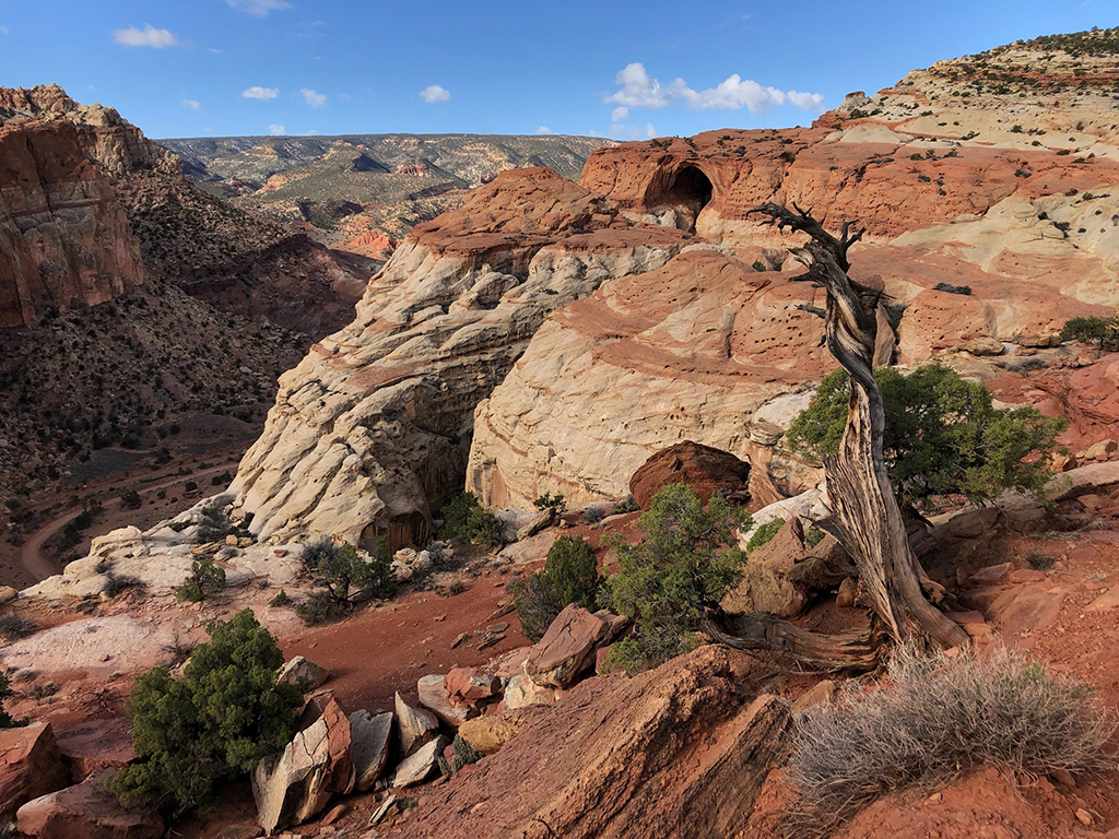 Cassidy Arch in the distance, Capitol Reef National Park / NPS - D. Popovic Cassidy Arch in the distance, Capitol Reef National Park / NPS - D. Popovic