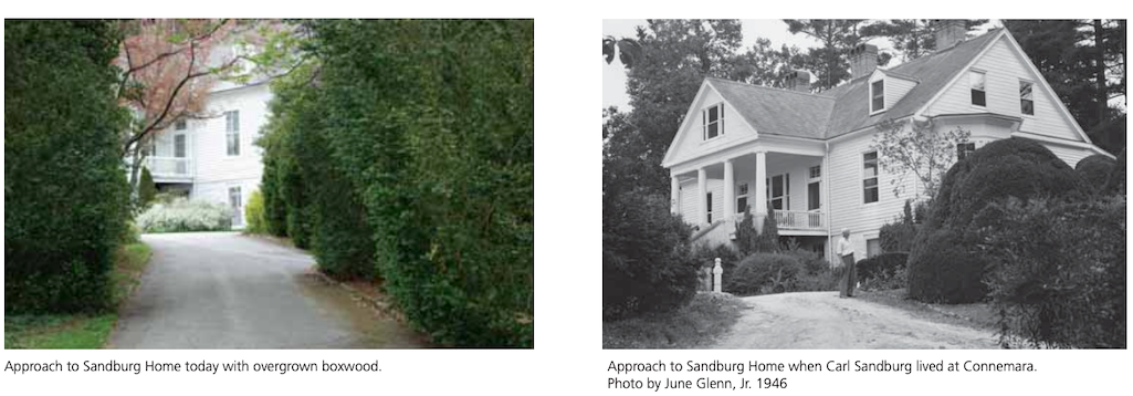 This undated file photo shows the boxwoods that line the home's driveway/NPS file This undated file photo shows the boxwoods that line the home's driveway/NPS file