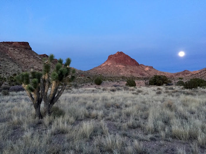 Moonrise over Castle Mountains National Monument/Jim Stratton