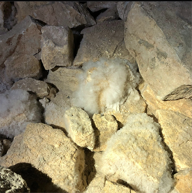 Mold? Cotton? Something else? Carlsbad Caverns National Park / NPS - D. Miller