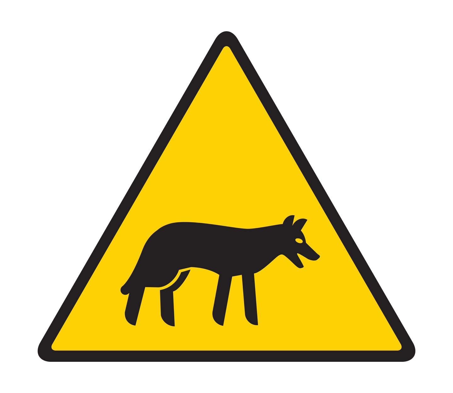 Closures remain in place in Cape Breton Highlands National Park as Parks Canada hunts for an aggressive coyote. Closures remain in place in Cape Breton Highlands National Park as Parks Canada hunts for an aggressive coyote.