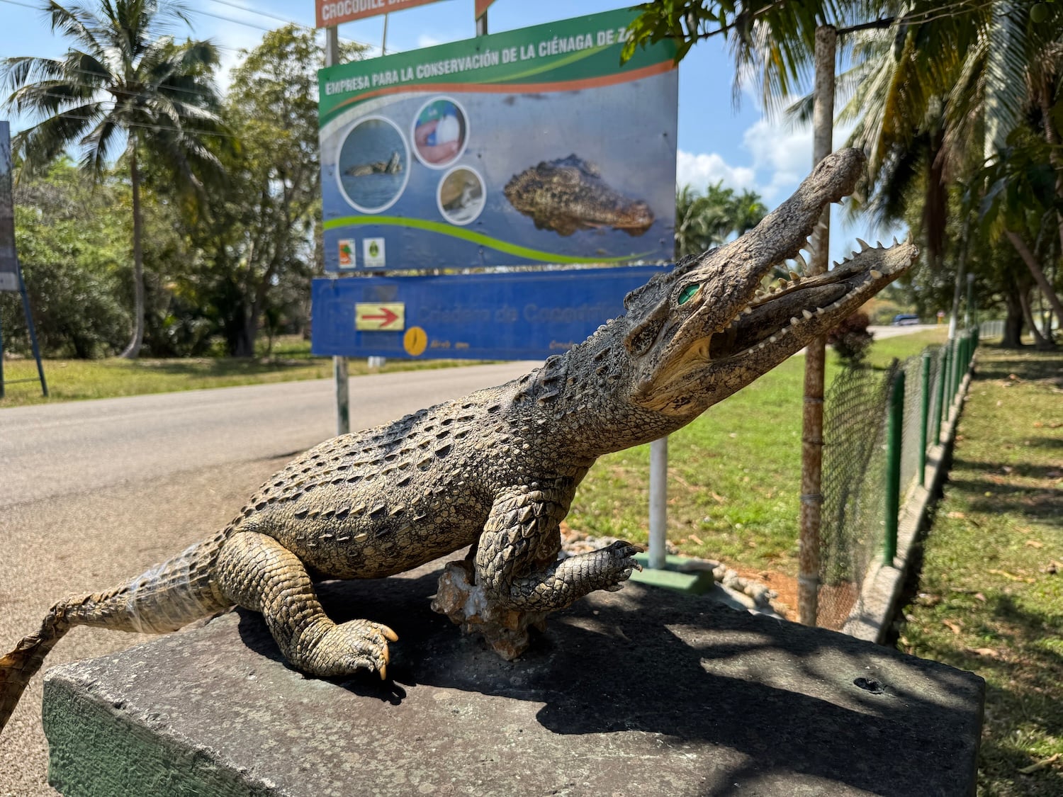 You can't miss the entrance to the national park's breeding farm.