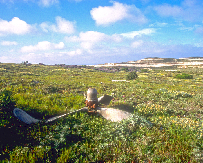 Bomber propeller at Channel Islands National Park/NPS