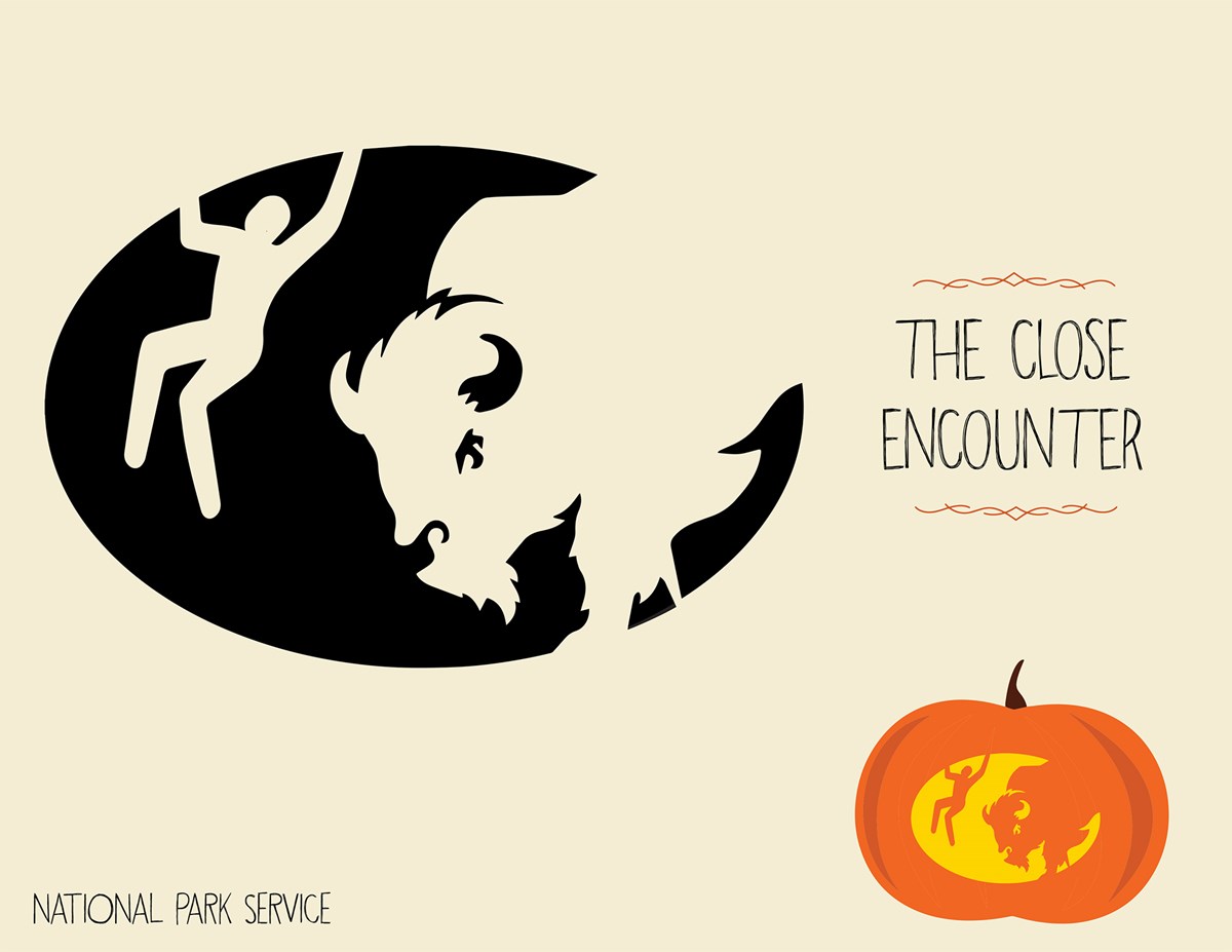 Close encounter template/NPS Close encounter template/NPS