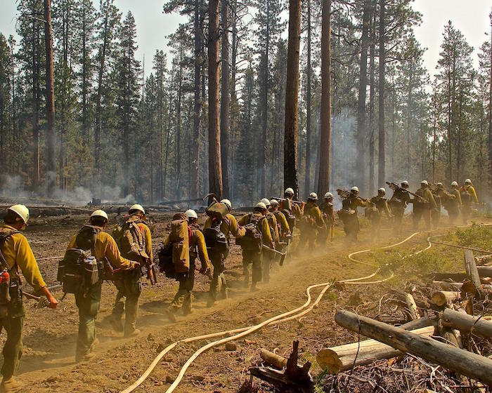 Mopup operations on the Timber Crater 6 Fire at Crater Lake National Park/NPS