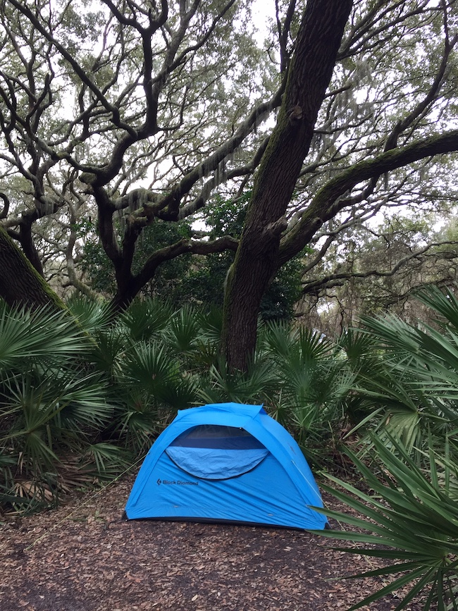Camp, complete with a windbreak of live oaks/Barbara Jensen Camp, complete with a windbreak of live oaks/Barbara Jensen