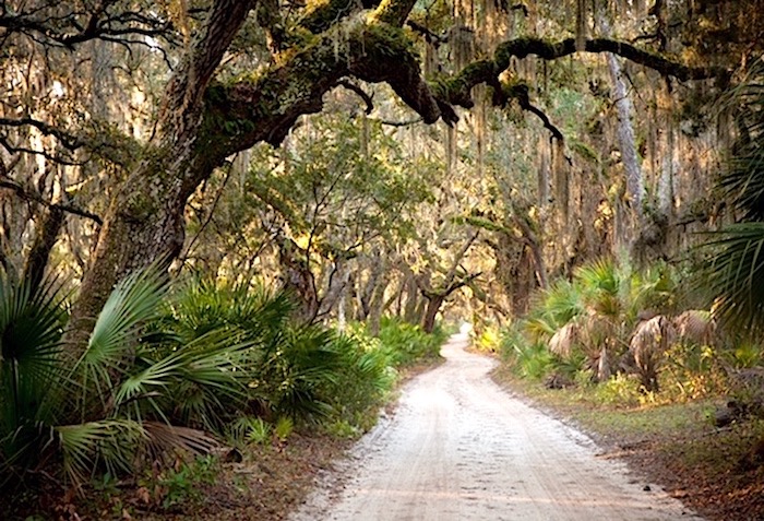 Cumberland Island, as bucolic as it is, a reminder of the past, is at threat from a proposed spaceport/NPS file Cumberland Island, as bucolic as it is, a reminder of the past, is at threat from a proposed spaceport/NPS file