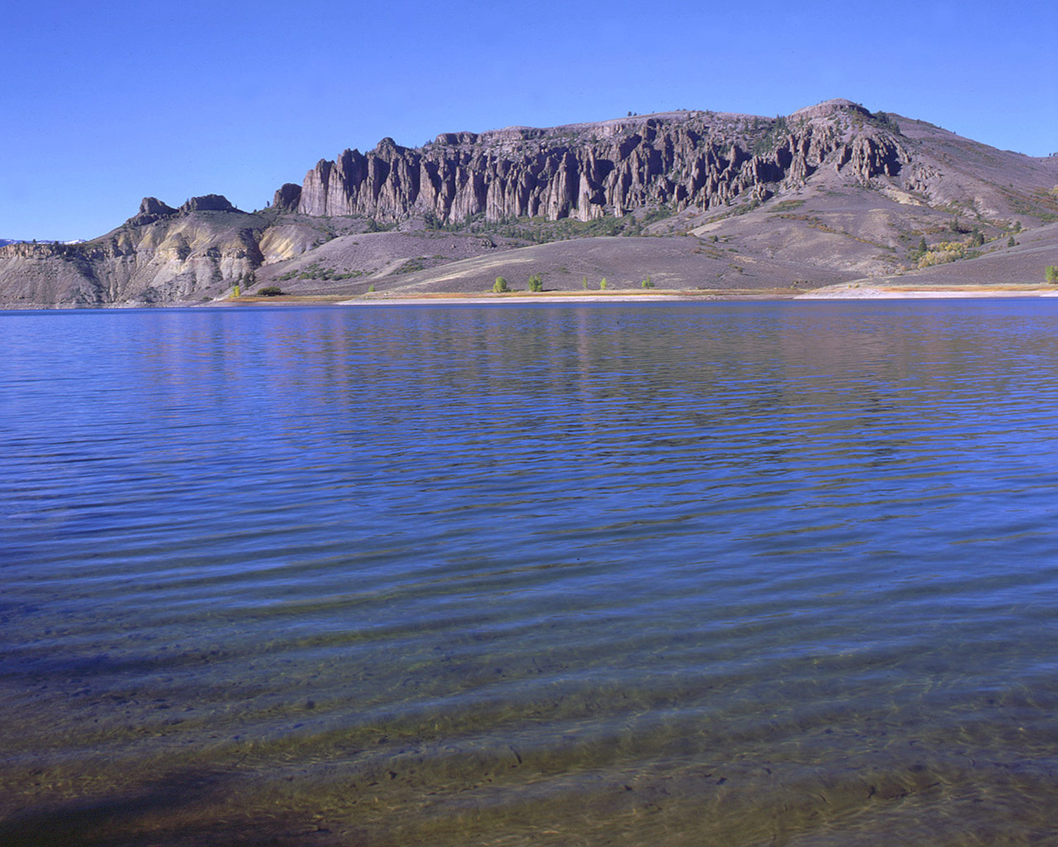 A stringent monitoring program so far has kept quagga mussels out of Curecanti National Recreation Area/NPS, Lisa Lynch