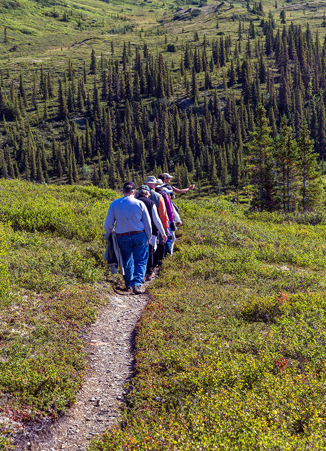 Hiking a trail near Wonder Lake, Denali National Park and Preserve / Rebecca Latson