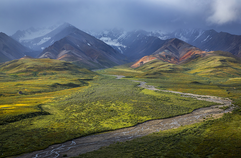 Sun and shadow on Polychrome Pass, Denali National Park and Preserve / Rebecca Latson