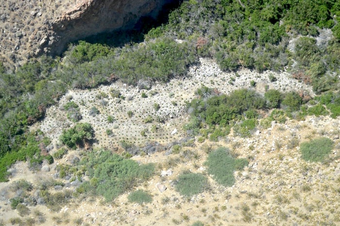 Aerial shot of illegal marijuana plot in Death Valley National Park/NPS