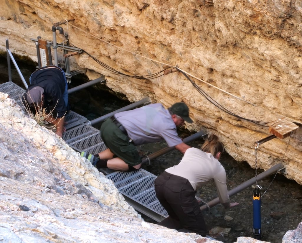 Counting pupfish in the shallow shelf portion of Devils Hole/Death Valley Natural History Association, Kendra DeSomma