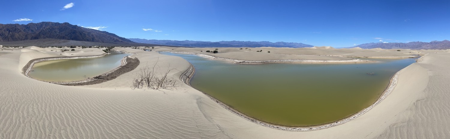 Ponds in Mesquite Flats Sand Dunes created by Hurricane Hilary/NPS Ponds in Mesquite Flats Sand Dunes created by Hurricane Hilary/NPS