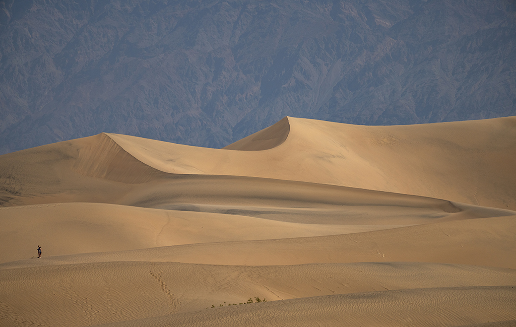 Wandering the Mesquite Flat sand dunes near Stovepipe Wells, Death Valley National Park / Rebecca Latson Wandering the Mesquite Flat sand dunes near Stovepipe Wells, Death Valley National Park / Rebecca Latson