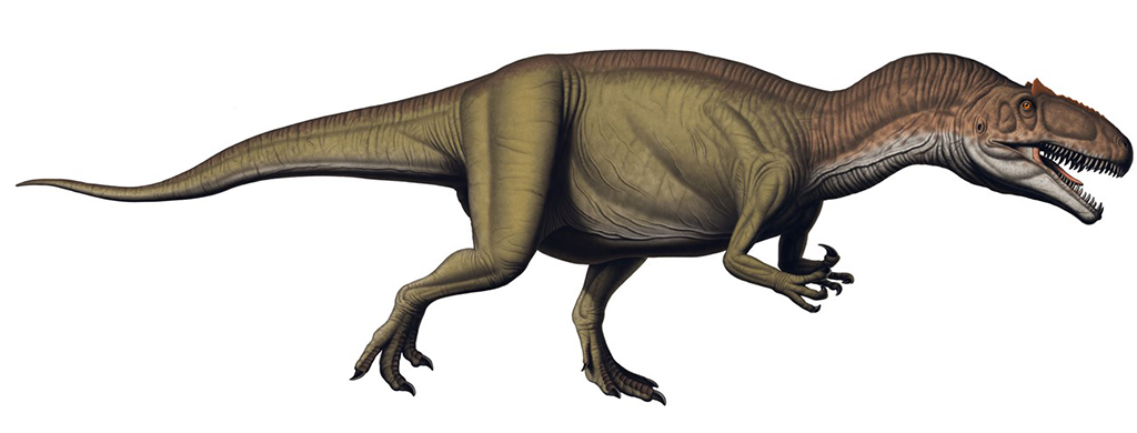 Artist rendering of a Allosaurus fragilis dinosaur, Dinosaur National Monument / NPS - Bob Walters-Tess Kissinger