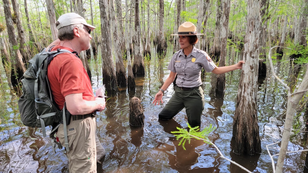 Attend National Parks Traveler's webinar on slough slogs and park funding/Kim O'Connell