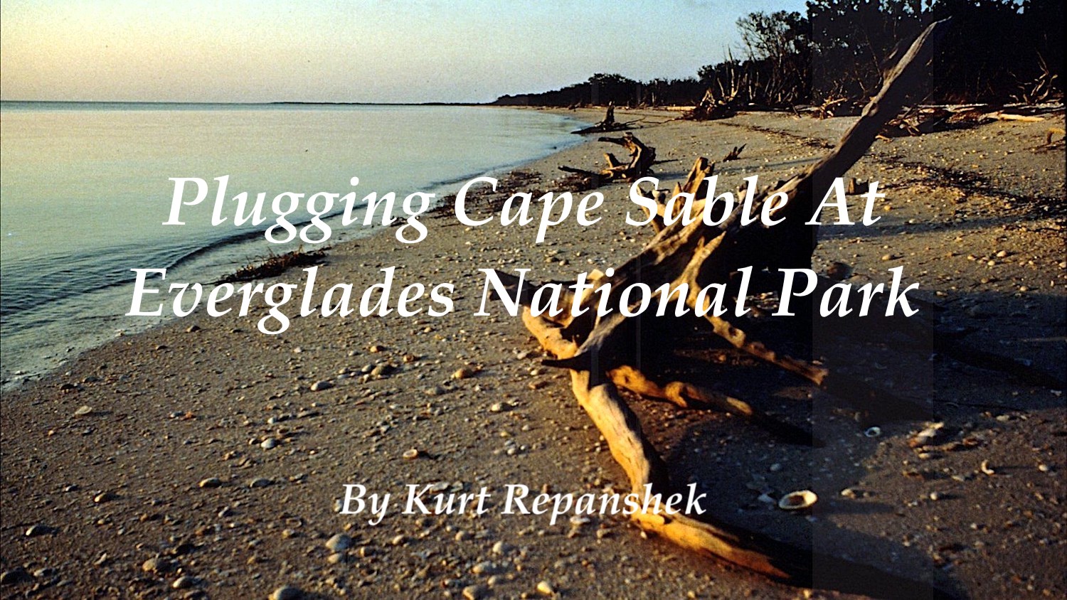 Plugging Cape Sable Plugging Cape Sable