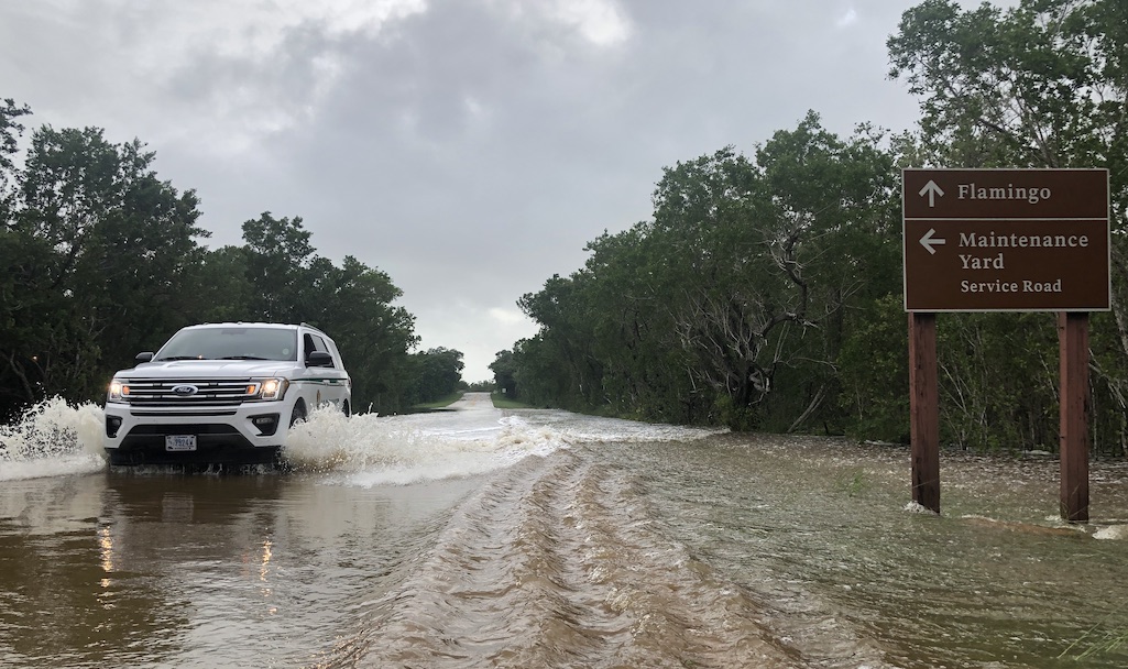 Flood waters kept the Flamingo area in Everglades National Park closed on Friday/NPS 